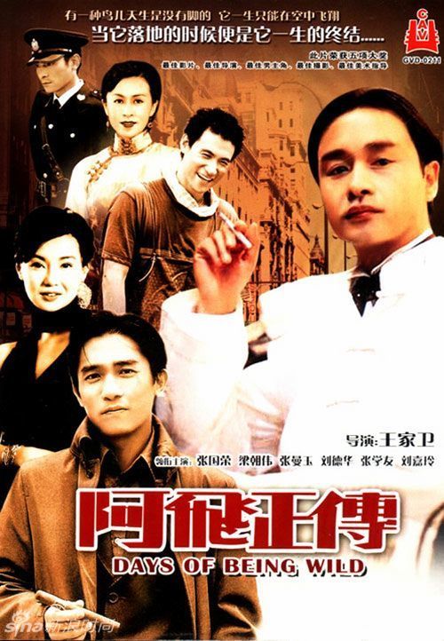 坎布里亚大学文凭毕业证真实样板